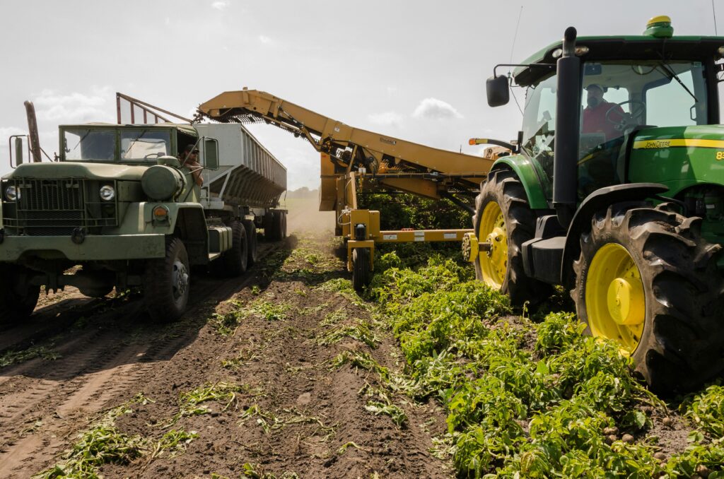 A tractor and truck collaborate in harvesting crops on a sunny farm field.